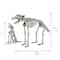 34.5" LED Animated Wolf Skeleton by Ashland®